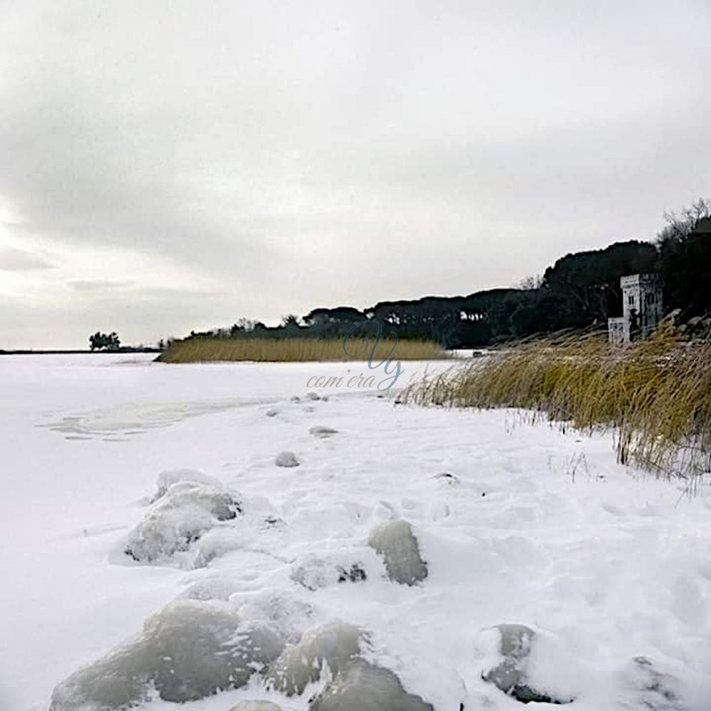 Lago ghiacciato Viareggio Anno 1985