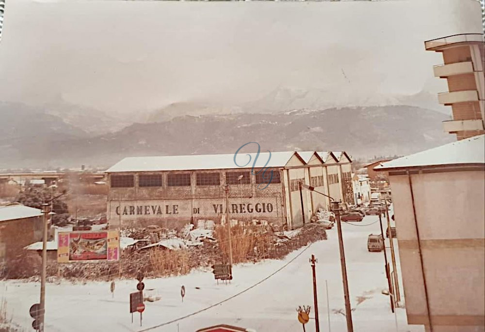 Nevicata Viareggio Anno 1985