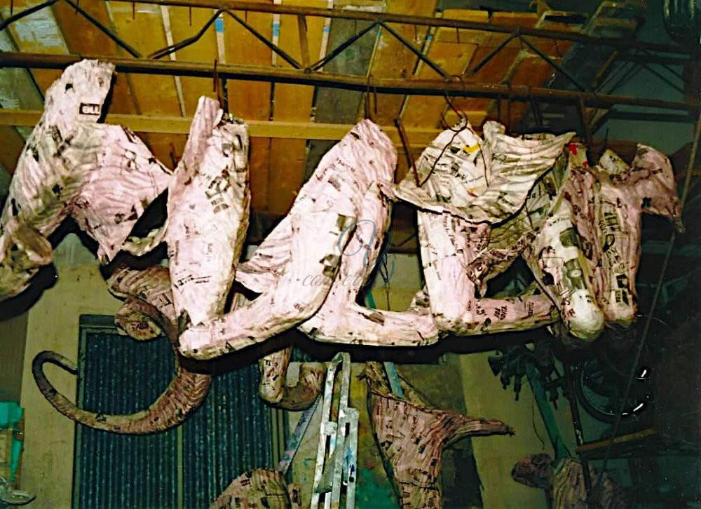 Aprite o sfondiamo la porta Viareggio Anno 1993