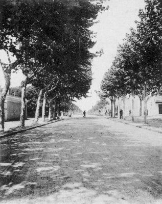 via Foscolo - Anno 1899