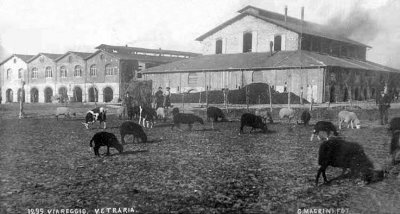 La Vetraria - Anni '40
