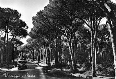 Via Aurelia - Anno 1954
