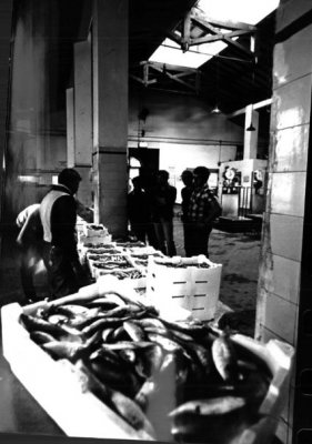 Vecchio mercato del Pesce - Anni '60
