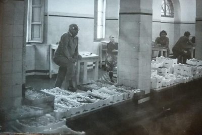 Vecchio mercato del pesce - Anni '60