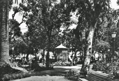 Voliera - Anni '60