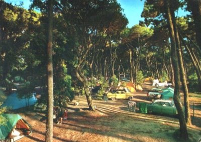 Camping in pineta - Anno 1973