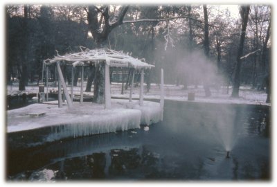 Laghetto dei Cigni - Anno 1984