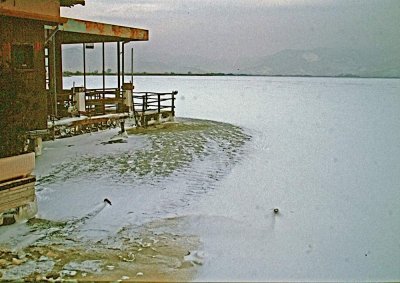 Lago ghiacciato - Anno 1985