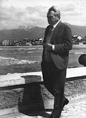 Biografia Mario Marcucci Viareggio