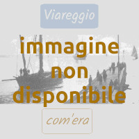 N.A. di  - Mascherate di Gruppo - Carnevale di Viareggio 1961