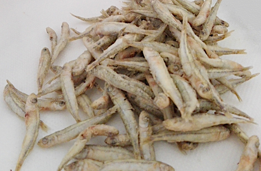 Pasta ai Sassi